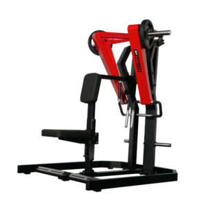 LOW ROW  FREE WEIGHTS