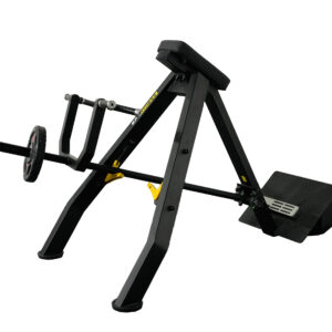 BARRE T FREE WEIGHTS